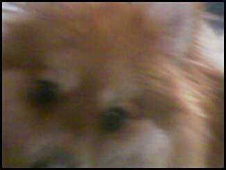up close and personal with bear.jpg